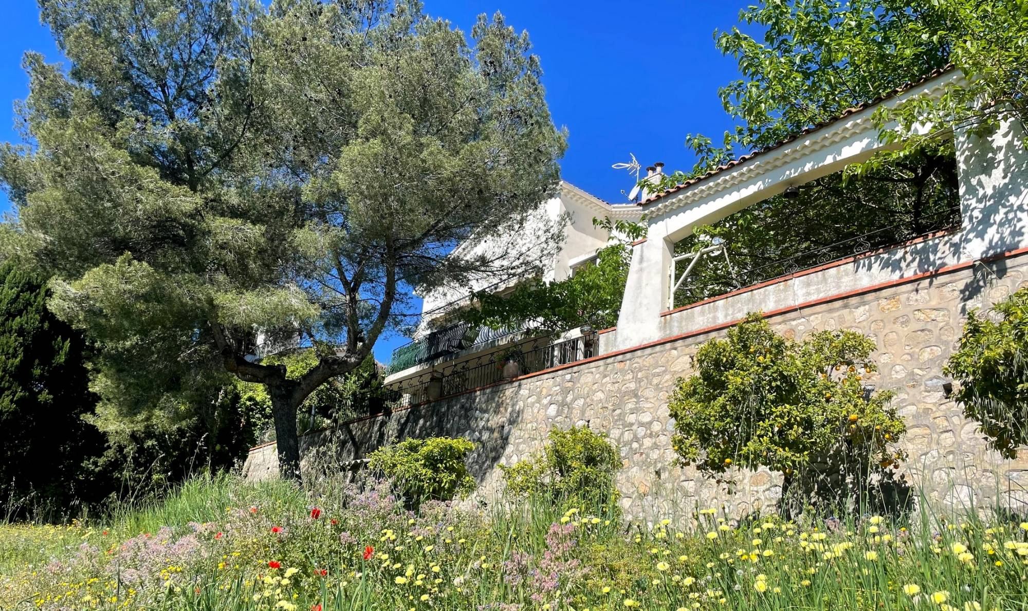 Villa des années 60 en très bon état, bâtie sur une parcelle verdoyante
