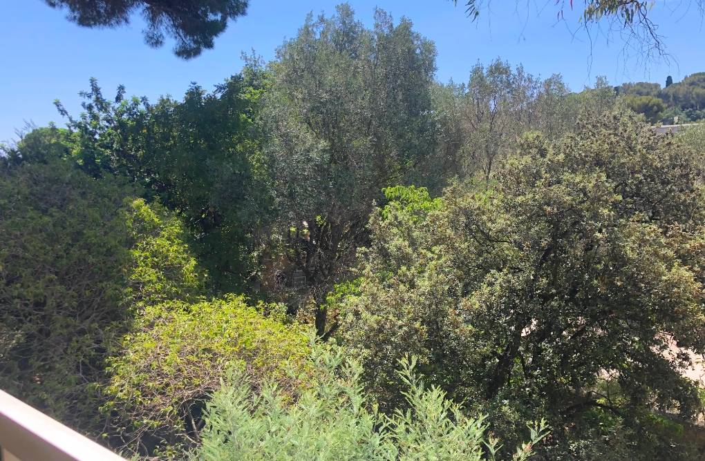 Appartement T4 en premier étage à vendre quartier Balaguier