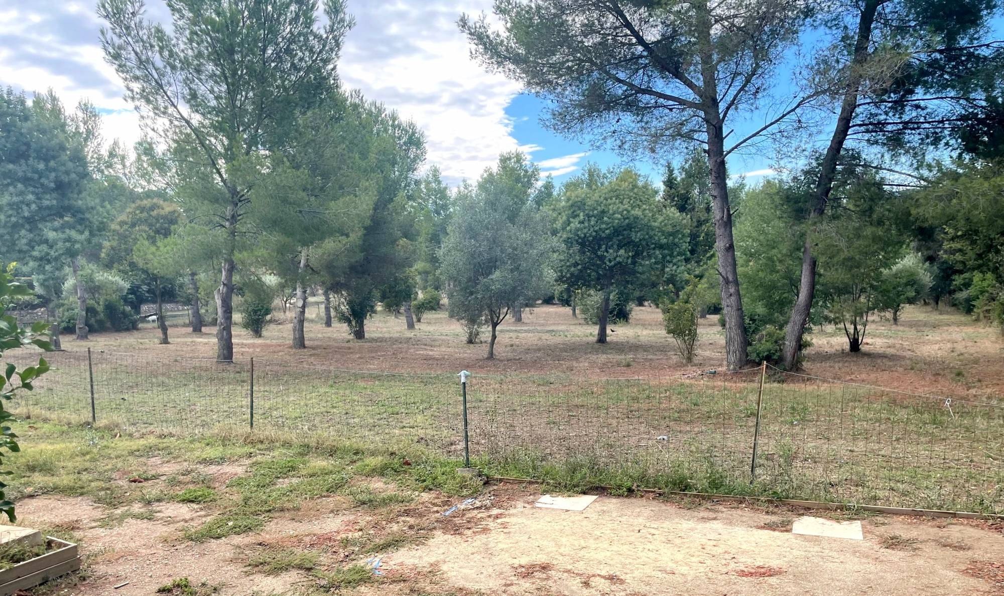 Ce bien vous a été présenté par l'agence immobilière Papazian-Chovelon