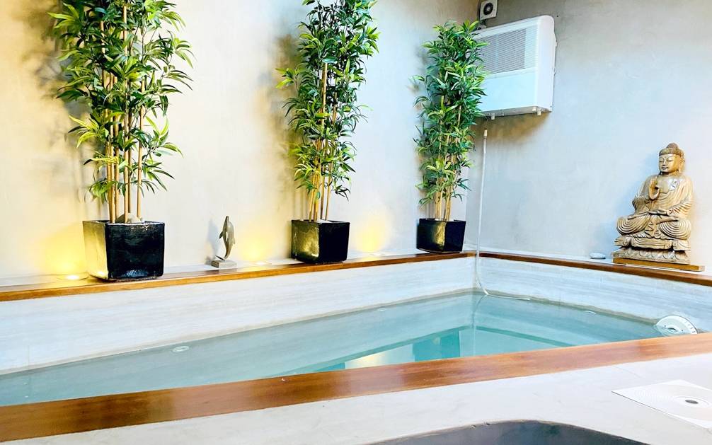 Maison décorée par un architecte et disposant d'une piscine