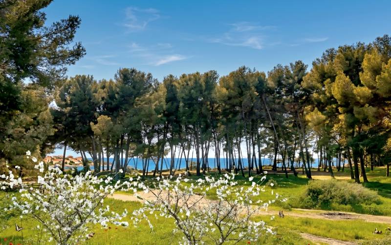 Maison à vendre par notre agence immobilière à Saint-Mandrier, Allée des Eucalyptus