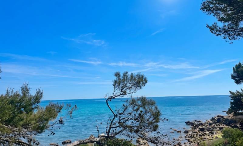 Demeure de prestige pieds dans l'eau, en première ligne face à la mer, à vendre secteur de la Vernette à La Seyne, Côte d'Azur
