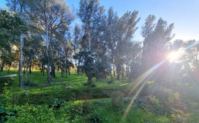 Nos prestations sur le secteur de Coste Chaude