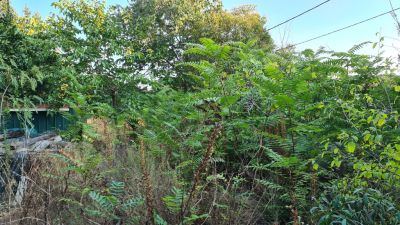 Nos prestations sur le secteur de Coste Chaude