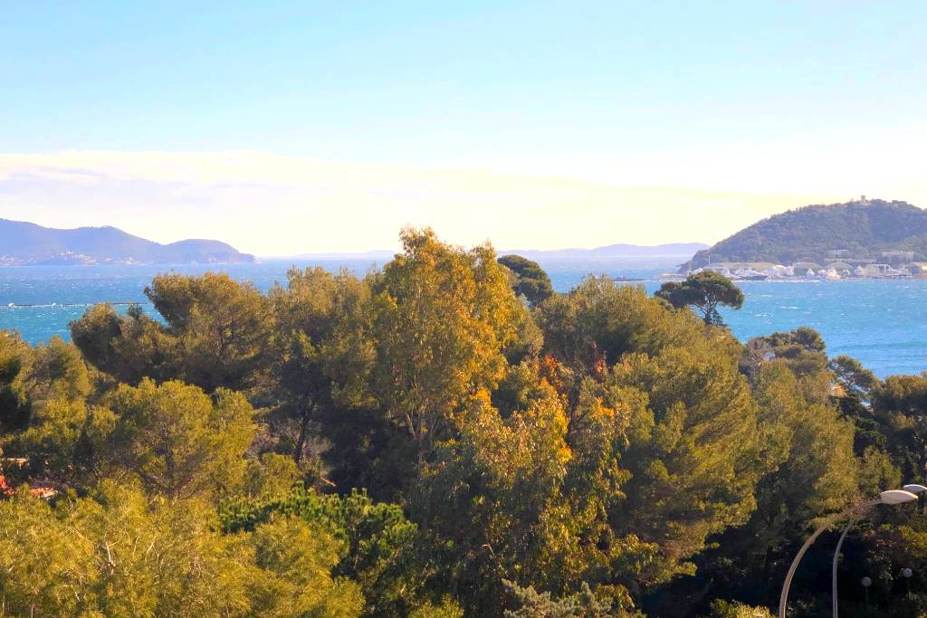 La vue mer de la Baie de Tamaris et de la Rade de Toulon